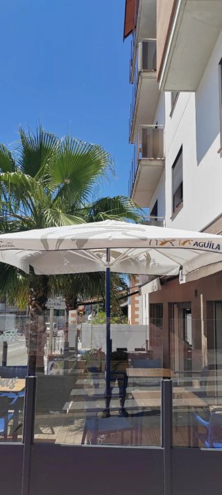 traspaso bar cafetería en pleno funcionamiento .