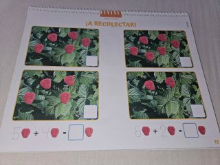 Proyecto EN LA PREHISTORIA Nivel 3 ANAYA