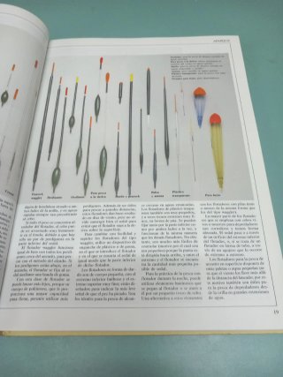Guia completa de la Pesca