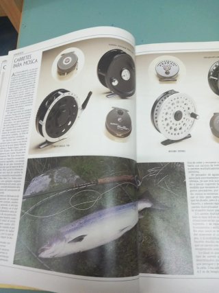 Guia completa de la Pesca