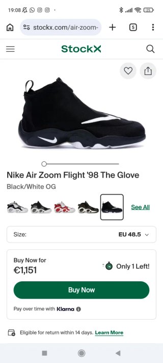 Nike Air Zoom Flight '98 The Glove