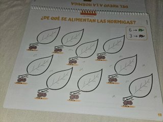Proyecto ABEJAS,HORMIGAS Y MARIPOSAS Nivel 2 ANAYA