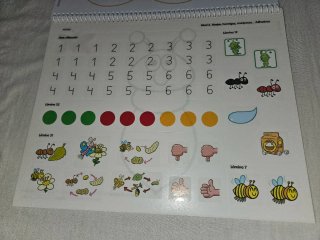 Proyecto ABEJAS,HORMIGAS Y MARIPOSAS Nivel 2 ANAYA