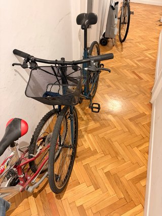 Bicicleta ErgoFitSystem