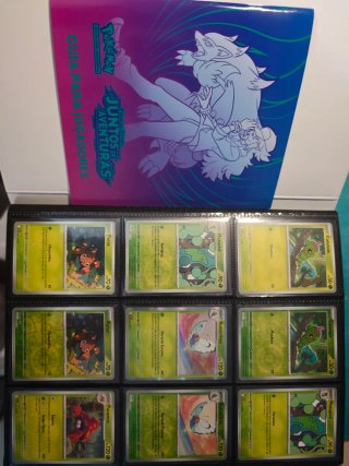 Colección Pokémon Juntos de Aventuras