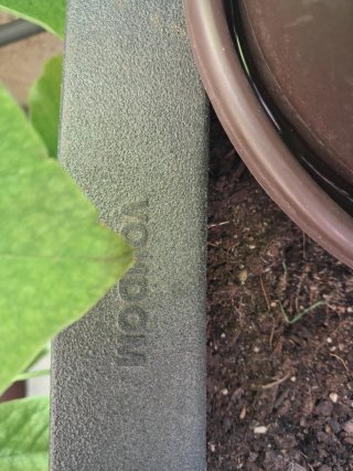 Macetero Vondom Arce Japonés Negro/Verde