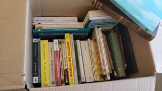 Caja con lote de libros