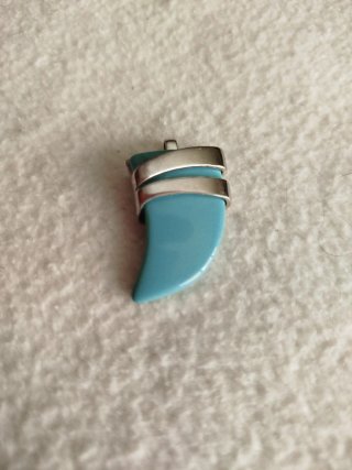 Collar Diente Turquesa y Plata