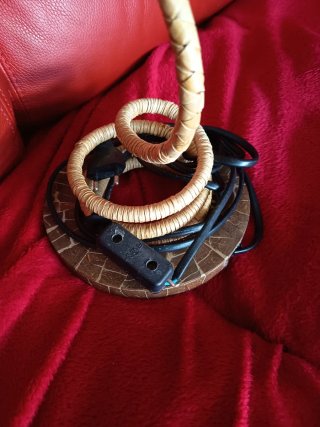 Lámpara de concha nautilus auténtica