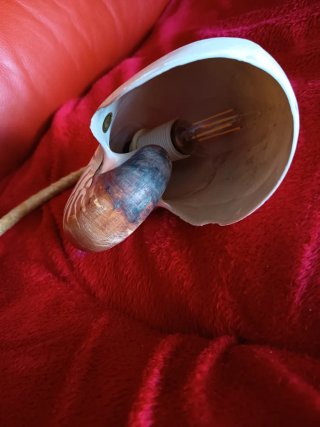 Lámpara de concha nautilus auténtica