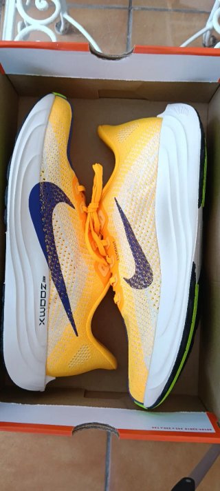 Nike Pegasus Plus Talla 45.   OFERTA