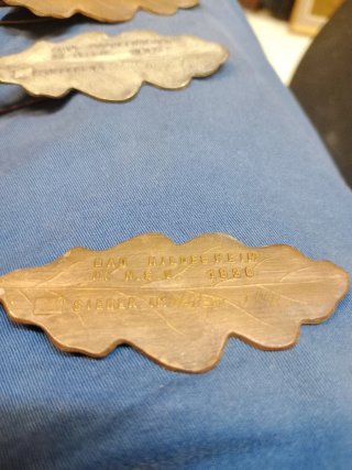 5 insignias alemanas hoja de roble