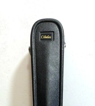Astuccio rigido per chitarra Archtop / Gran Auditorium
