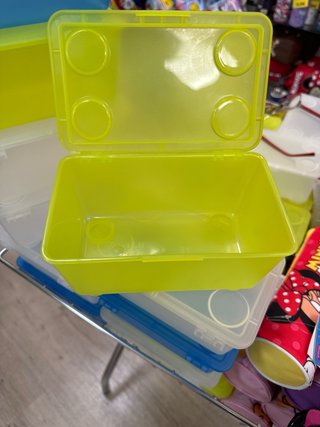 Cajas de plástico con tapa (3 colores