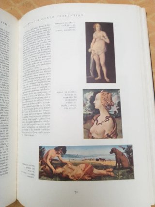 Libro Historia ilustrada de la pintura.