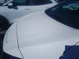 Nissan Leaf 62kWh e+ Acenta 160 kW (217 CV)