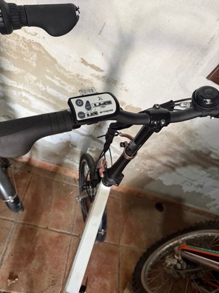 Biciclette elettriche B-rwin