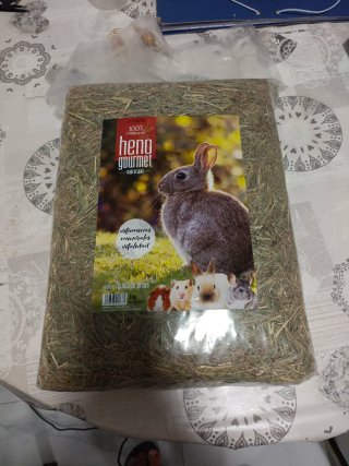 Jaula para conejo blanca y verde