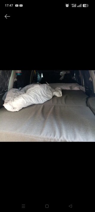 Kit Camper Ford/Seat/VW