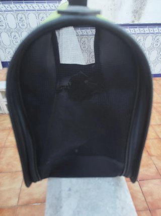 Transportín perro/gato verde con dibujo