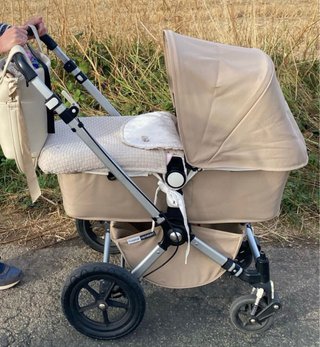 Carrito Bugaboo Camaleon