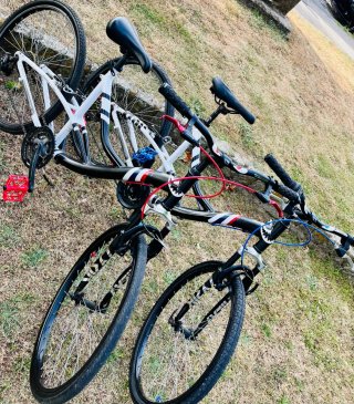 2 Bicicletas para parejas o niños