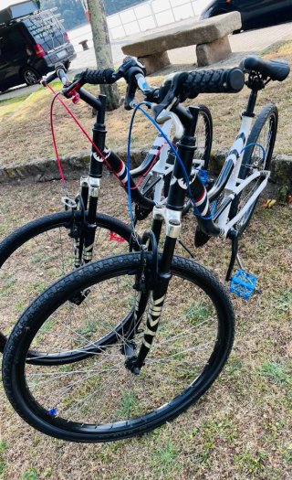 2 Bicicletas para parejas o niños