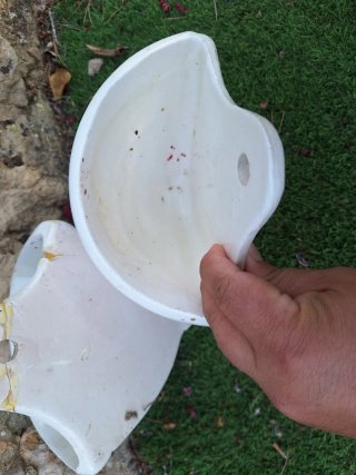 2 Vasi da Parete in Ceramica con Fiori Rossi