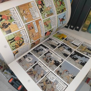 Colección Completa Tintín – 23 Cómics en Rústica