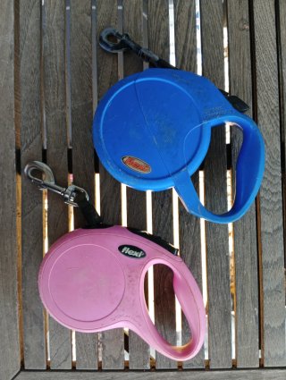 2 Correas Extensibles para perro marca Flexi