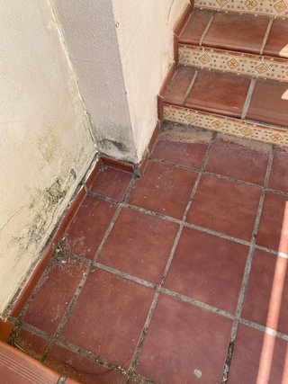 Servicios de limpieza