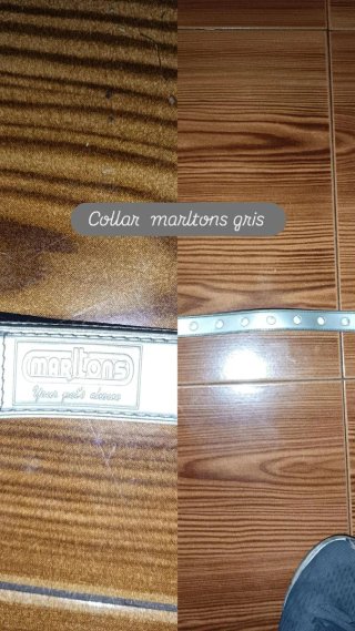 Collar Marltons Gris