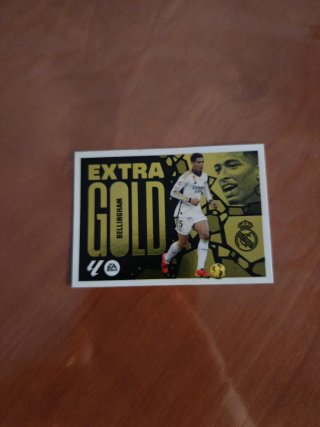 Extra Gold Bellingham