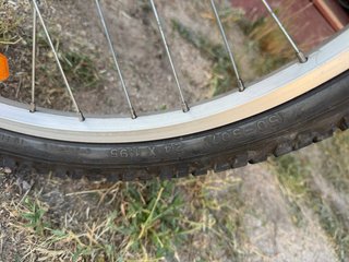 Bicicleta infantil Rueda 24