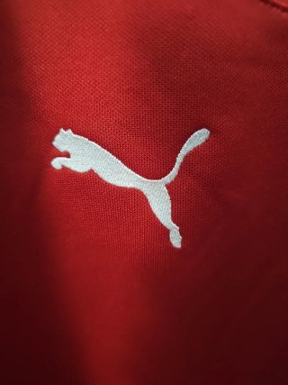 Maglia Storica Rep. Ceca Puma 2010
