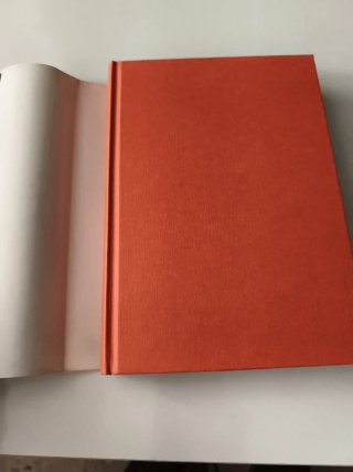 Libro "El Diario de Gian Tormenta"