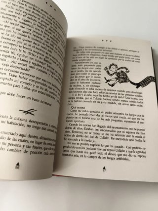 Libro "El Diario de Gian Tormenta"