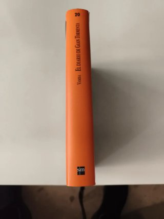 Libro "El Diario de Gian Tormenta"
