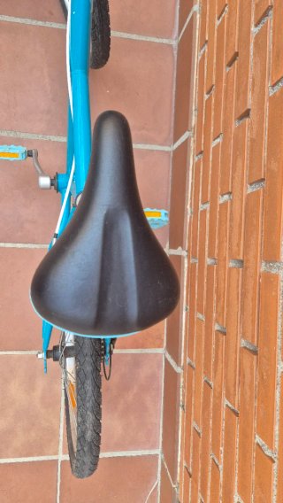 Bicicleta Infantil 20 Azul