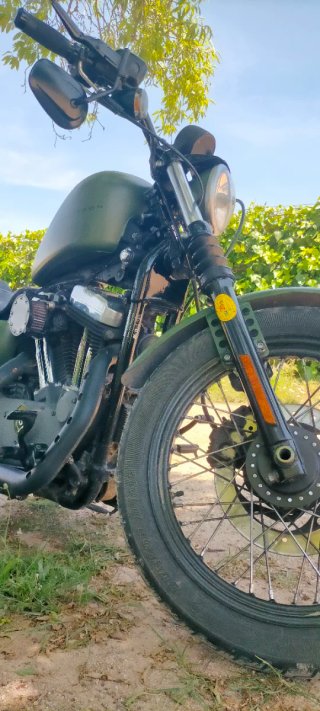Harley Davidson Custom Verde/Negra