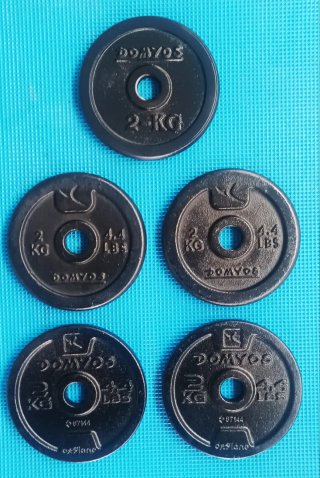 5 dischi pesi palestra 2kg foro 28mm