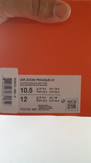 Zapatillas Nike Pegasus 41 Talla 41