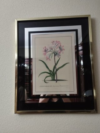2 cuadros Decorativo Flor Lirio Narciso
