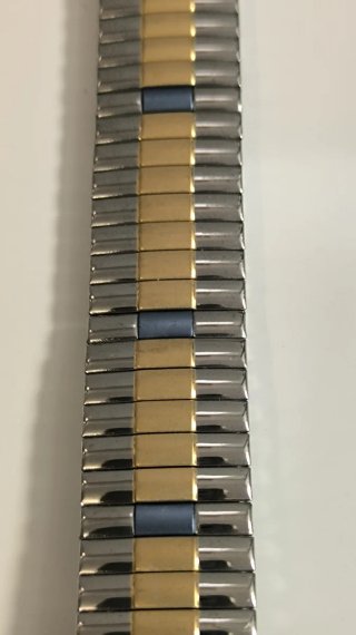 Correa Swatch extensible bicolor 17 mm
