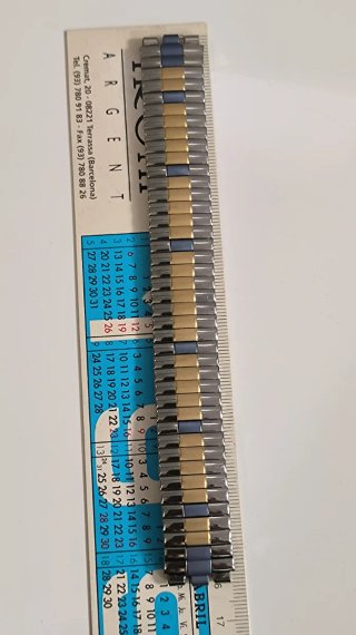 Correa Swatch extensible bicolor 17 mm
