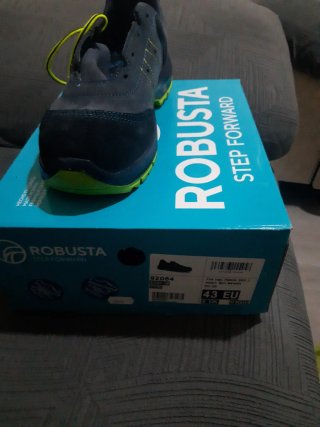Zapatos de seguridad Robusta