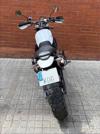 Ducati Desert Sled