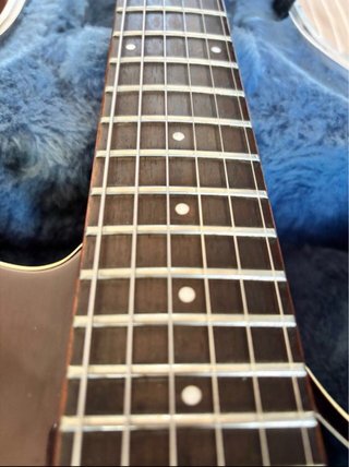 Guitarra Samick by Greg Benett modelo Royale RL1