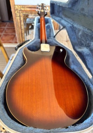 Guitarra Samick by Greg Benett modelo Royale RL1