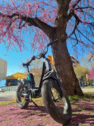 Bicicleta Eléctrica Yamaha Boaster